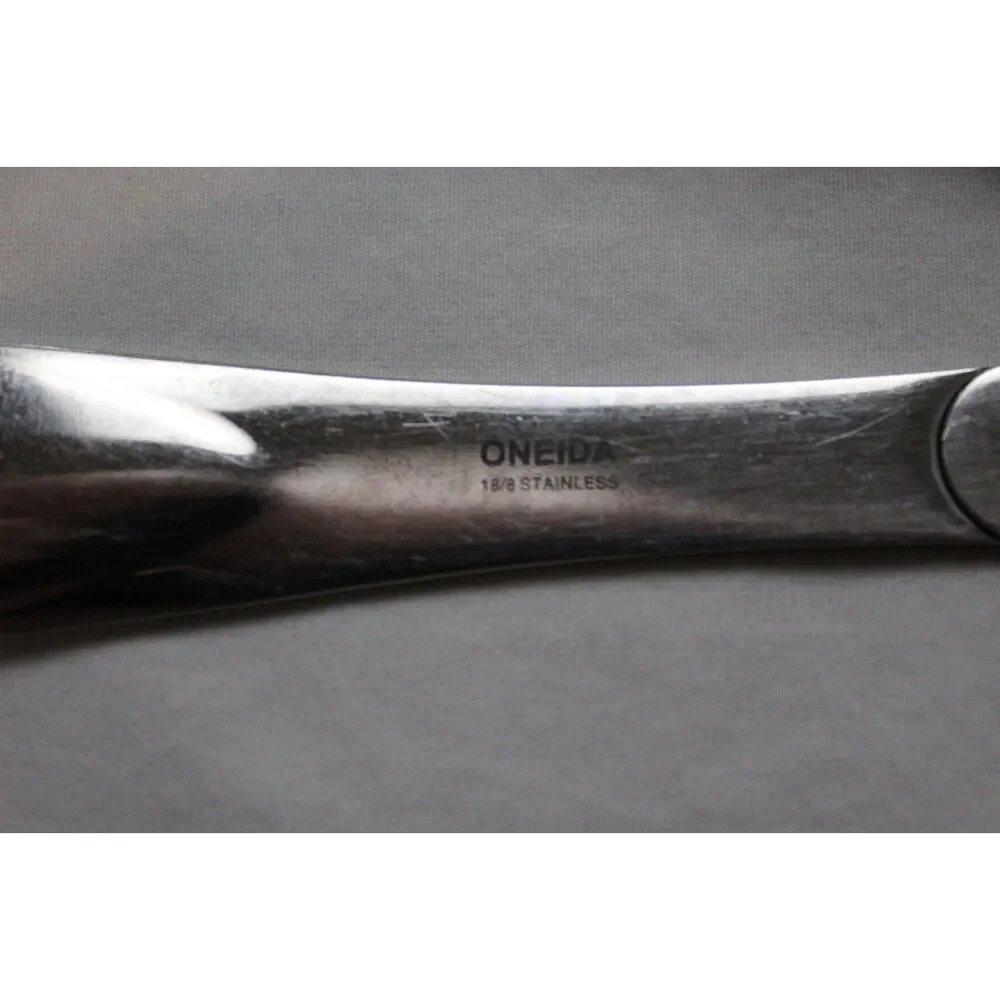 2 Oneida 18/8 Stainless Steel Serving Spoons 10